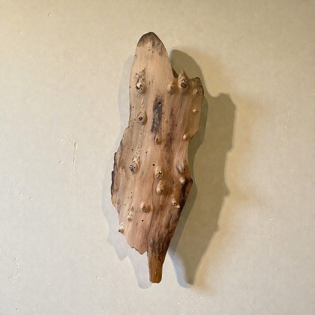 Extra-Large Driftwood Wall Hanging
