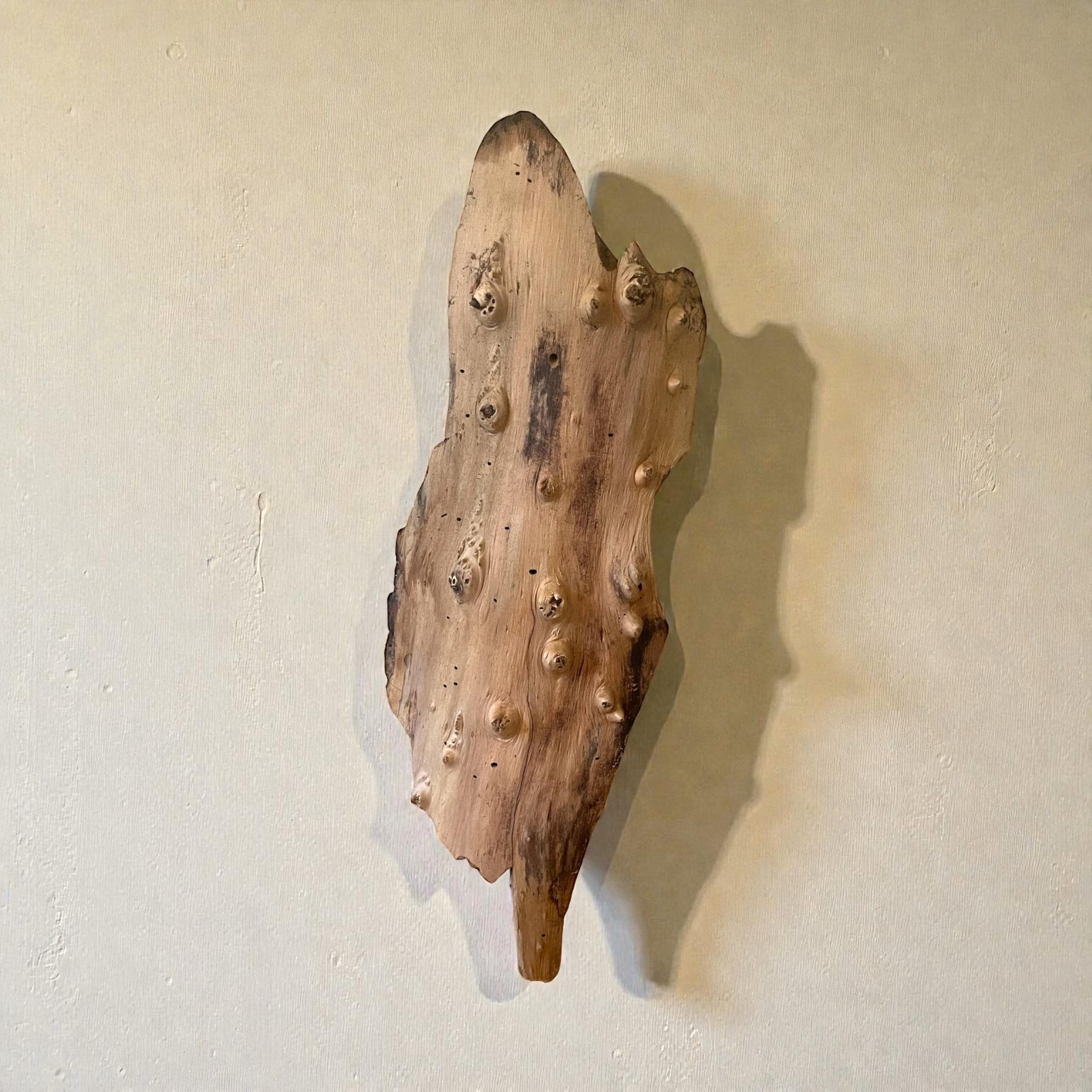 Extra-Large Driftwood Wall Hanging