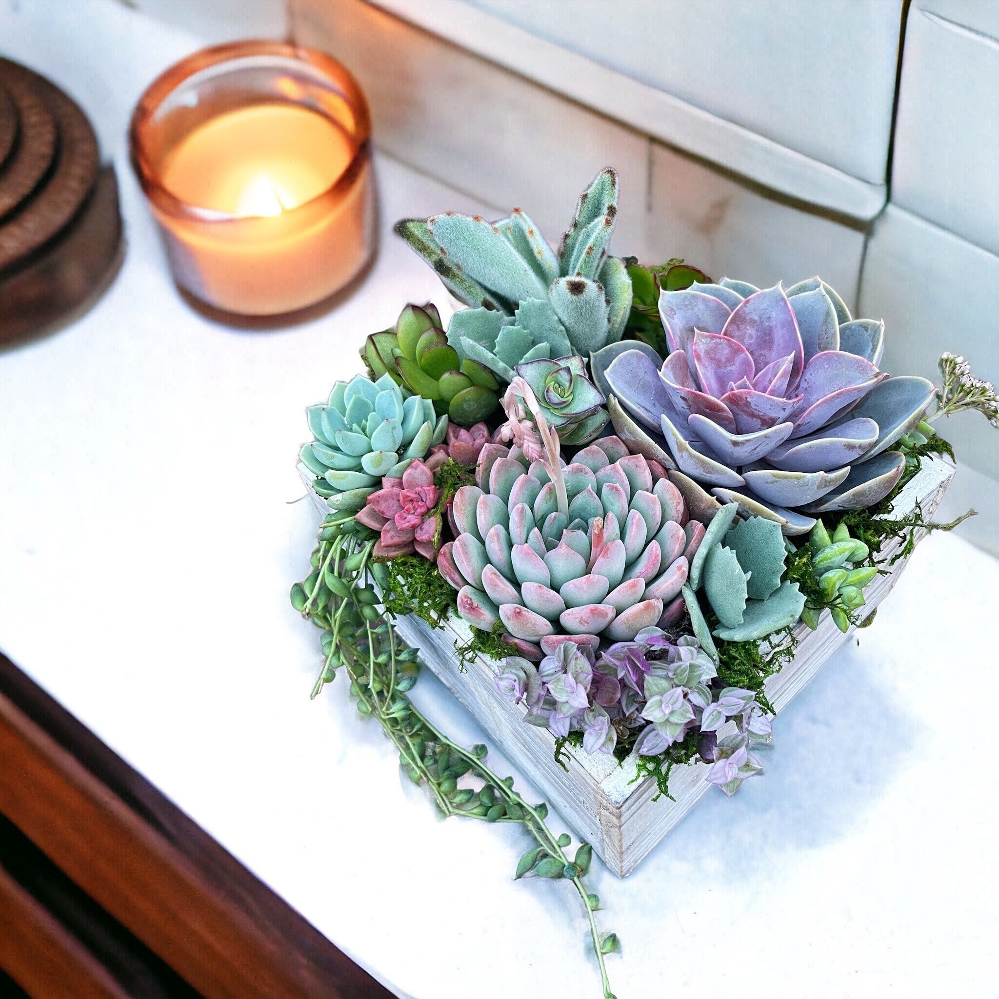 Luxury Succulent Arrangement in Wooden Box Planter | Colorful Live Succulent Centerpiece | Succulent Bouquet Gift | Designer Plant Decor