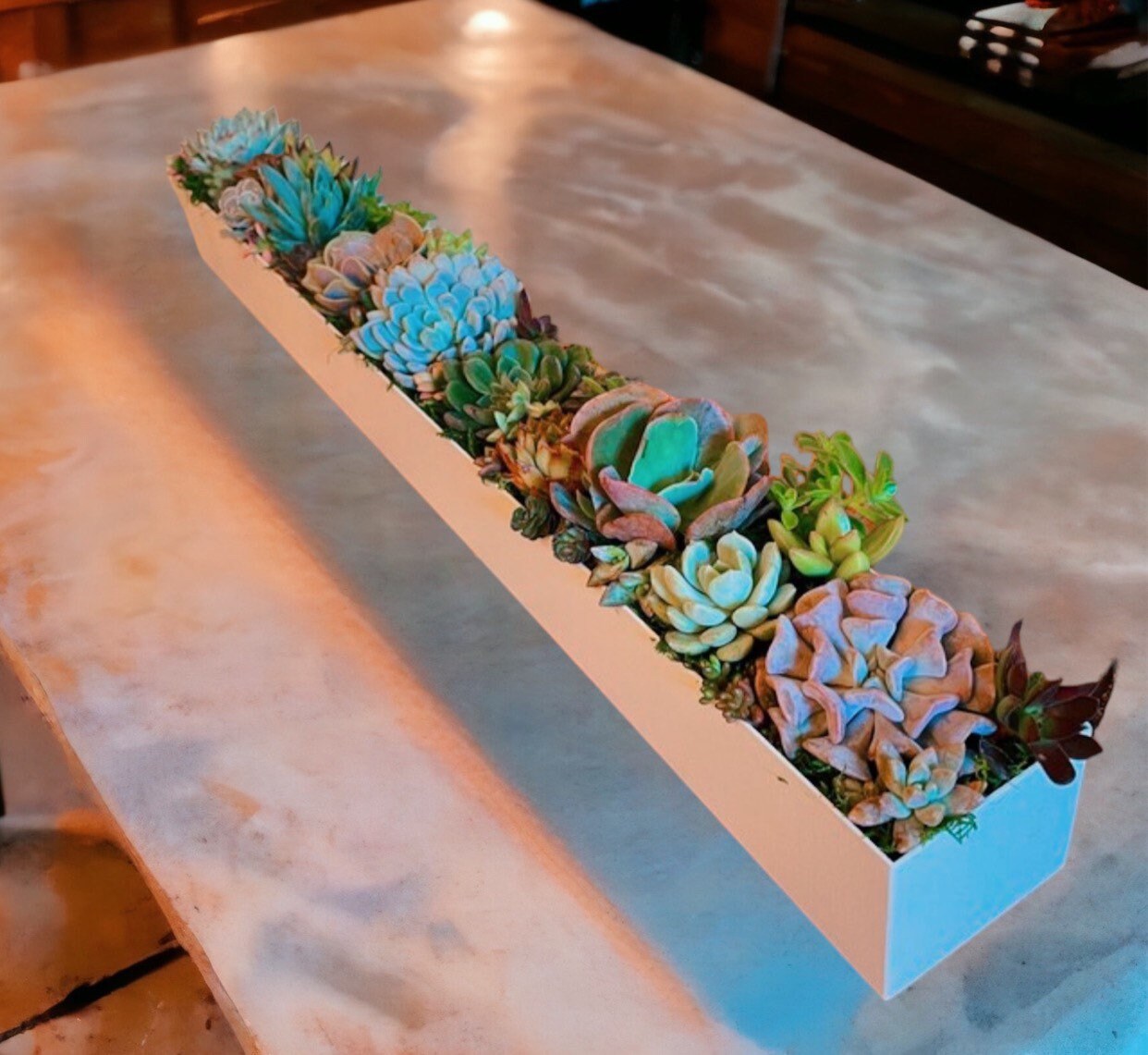 Large Succulent Centerpiece Arrangement