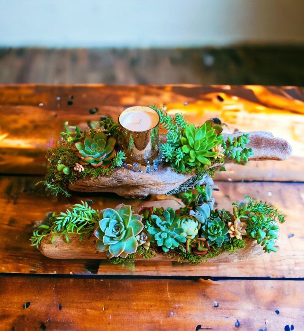 Custom Driftwood Succulent Centerpiece