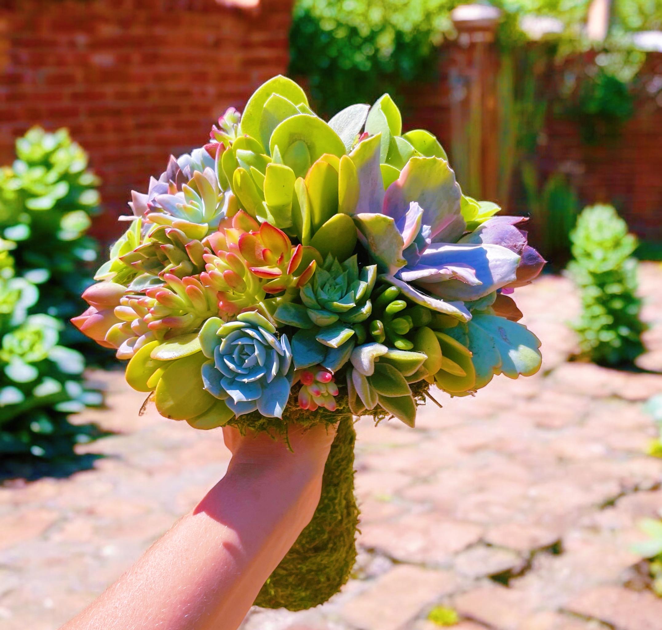 Succulent Mushroom Topiary – Living Moss Sculpture with Live Succulents | Garden Art Decor