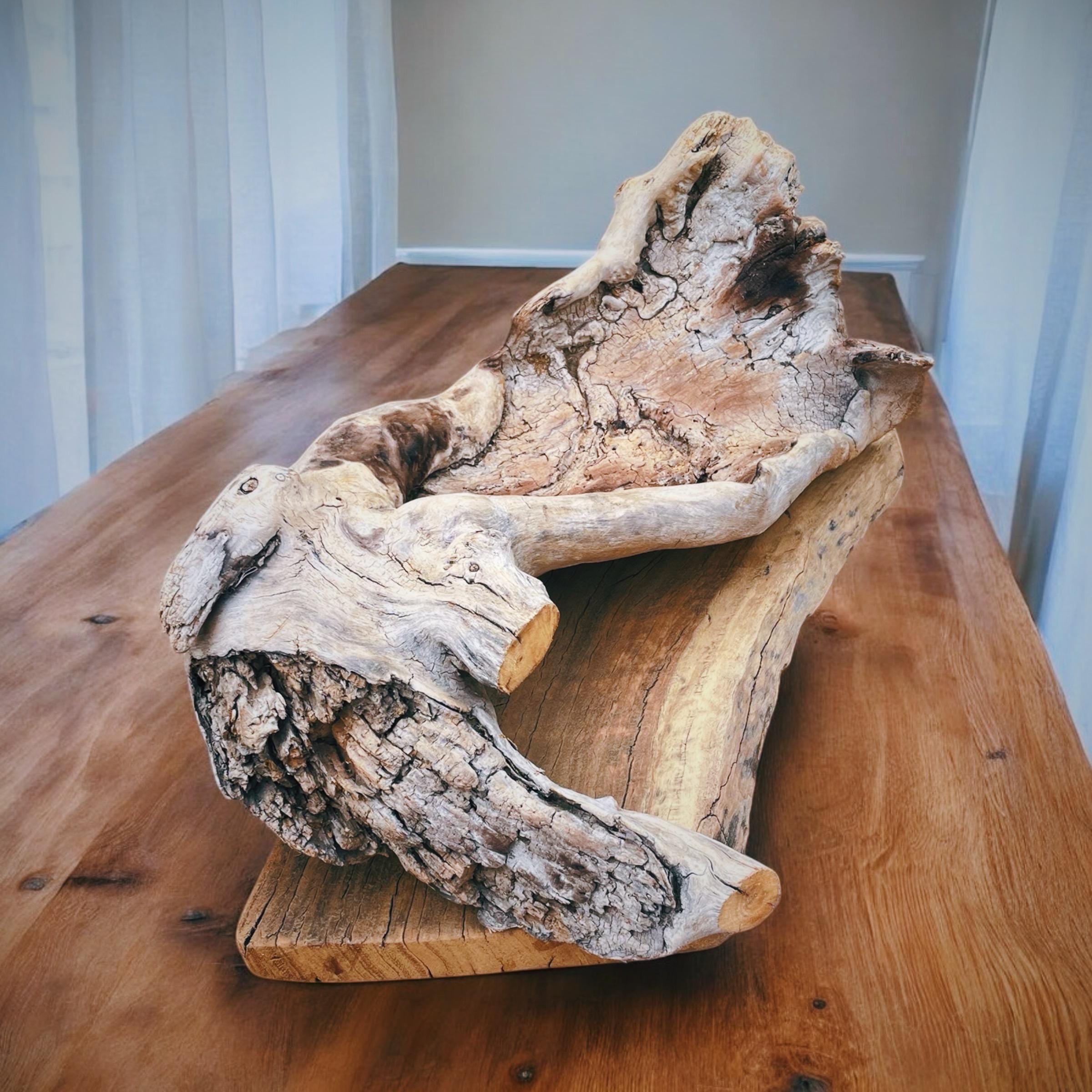 Natural Pacific Coast Driftwood Sculpture – Large Bare Driftwood Centerpiece for Coastal & Organic Modern Decor