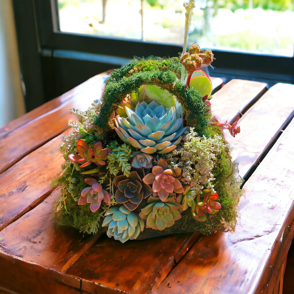 Moss Purse Succulent Planter