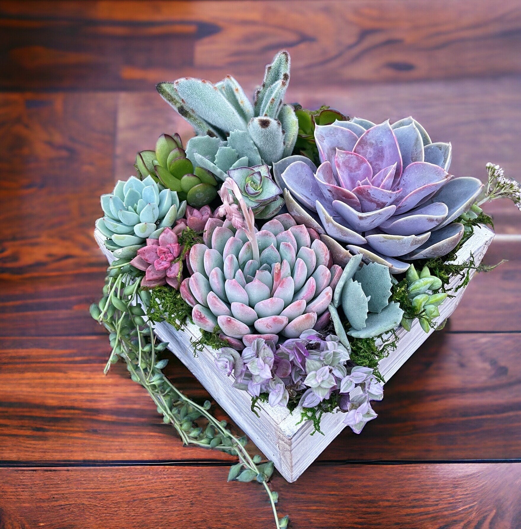 Luxury Succulent Arrangement in Wooden Box Planter | Colorful Live Succulent Centerpiece | Succulent Bouquet Gift | Designer Plant Decor