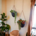 Blue Ceramic Hanging Succulent Planters – Set of 2 or Individual | Trailing Succulents Wall Decor