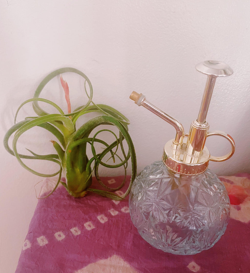 Glass Plant Mister – Vintage Watering Spray Bottle | Air Plant & Houseplant Mister (200ml)
