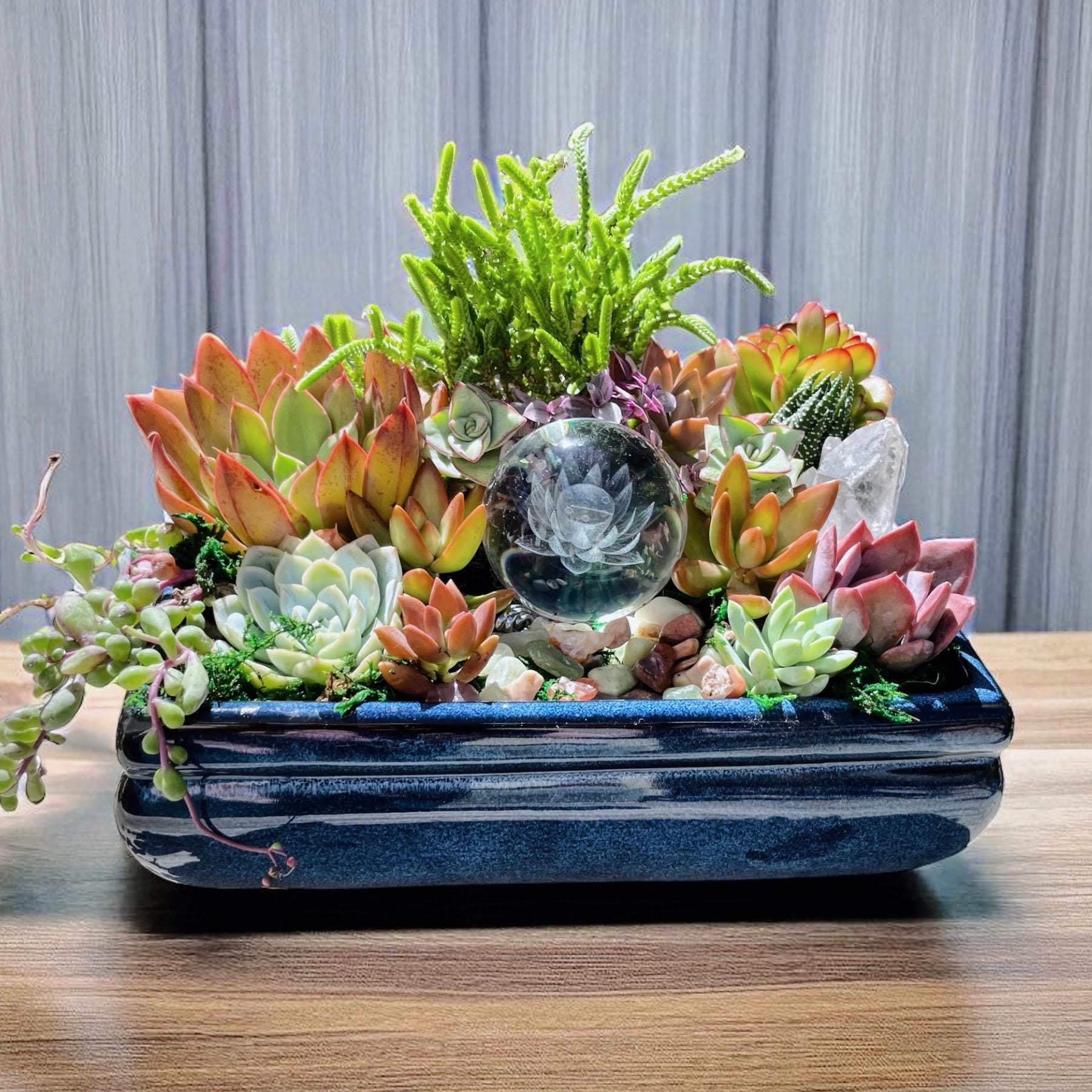 Lotus Crystal Succulent Arrangement