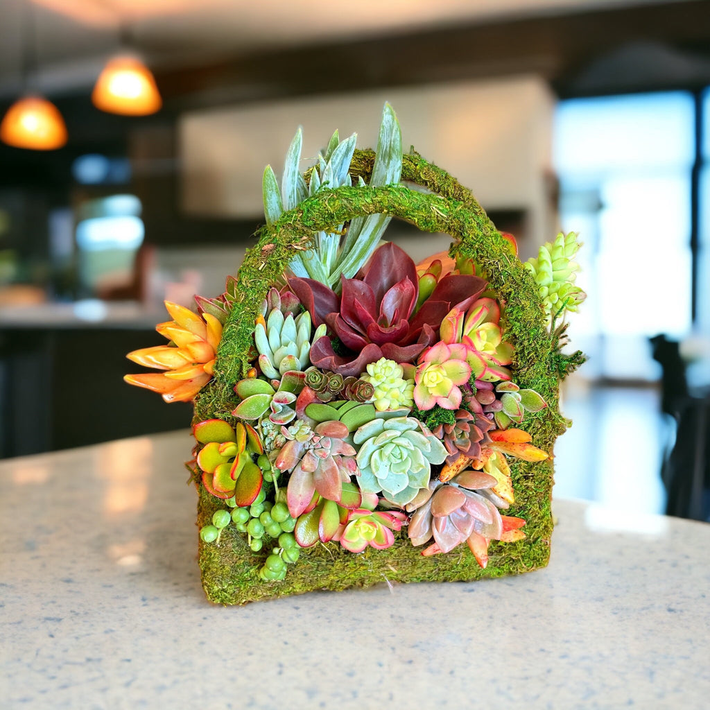 Moss Purse Succulent Planter