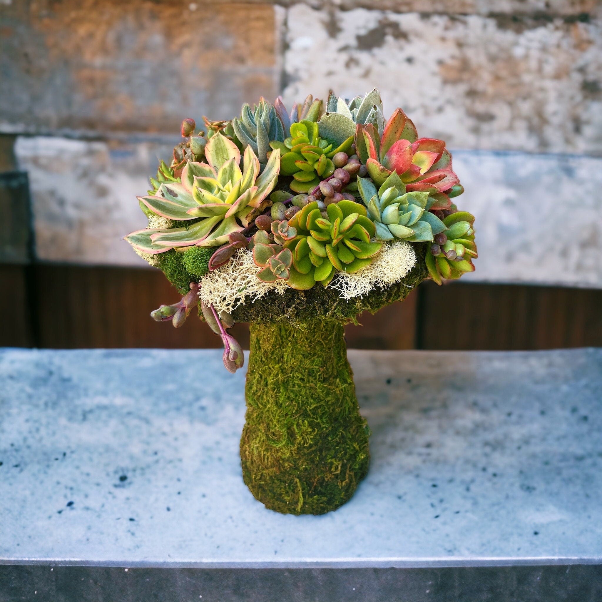 Succulent Mushroom Topiary – Living Moss Sculpture with Live Succulents | Garden Art Decor