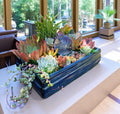 Lotus Crystal Succulent Arrangement