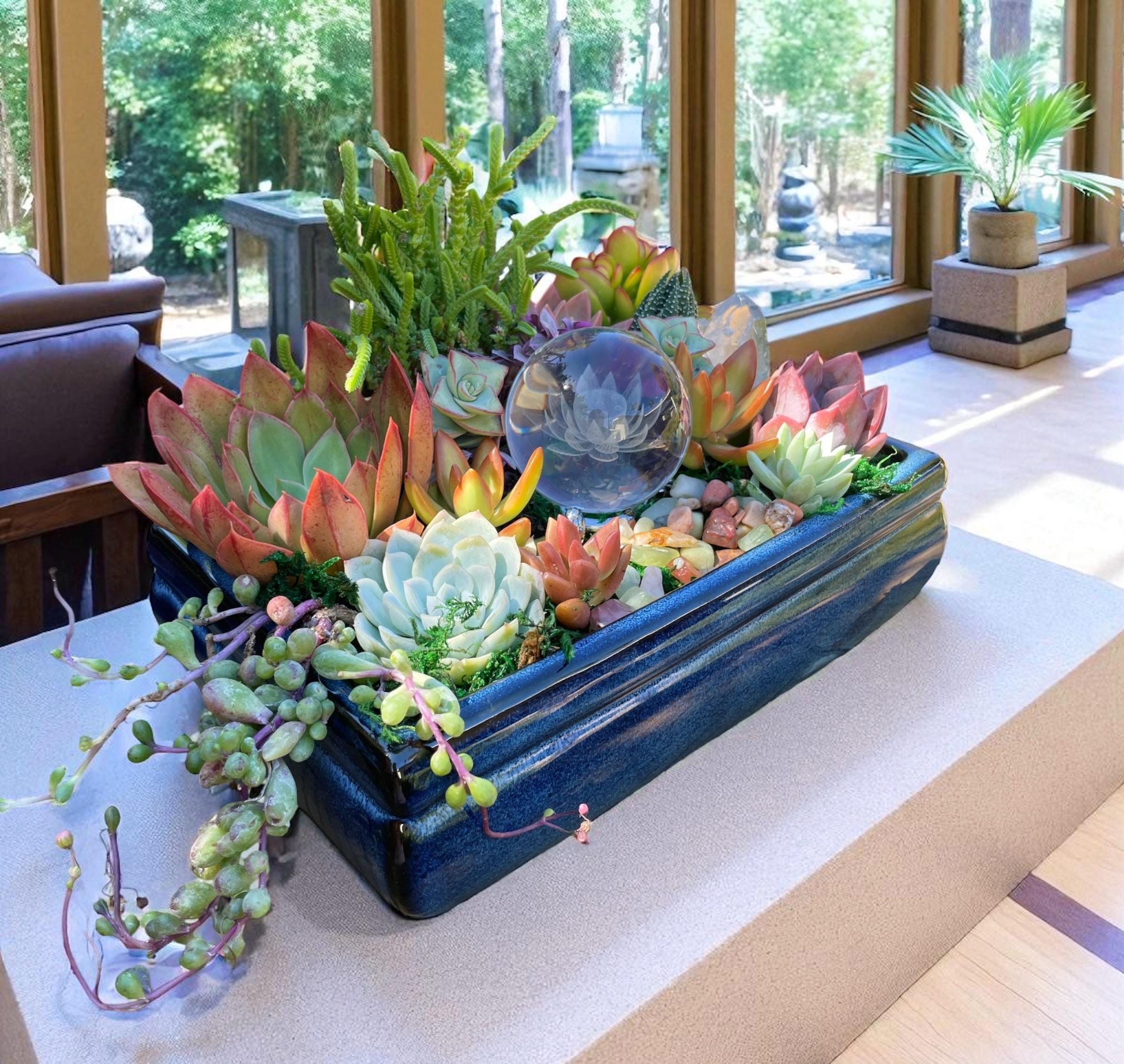 Lotus Crystal Succulent Arrangement