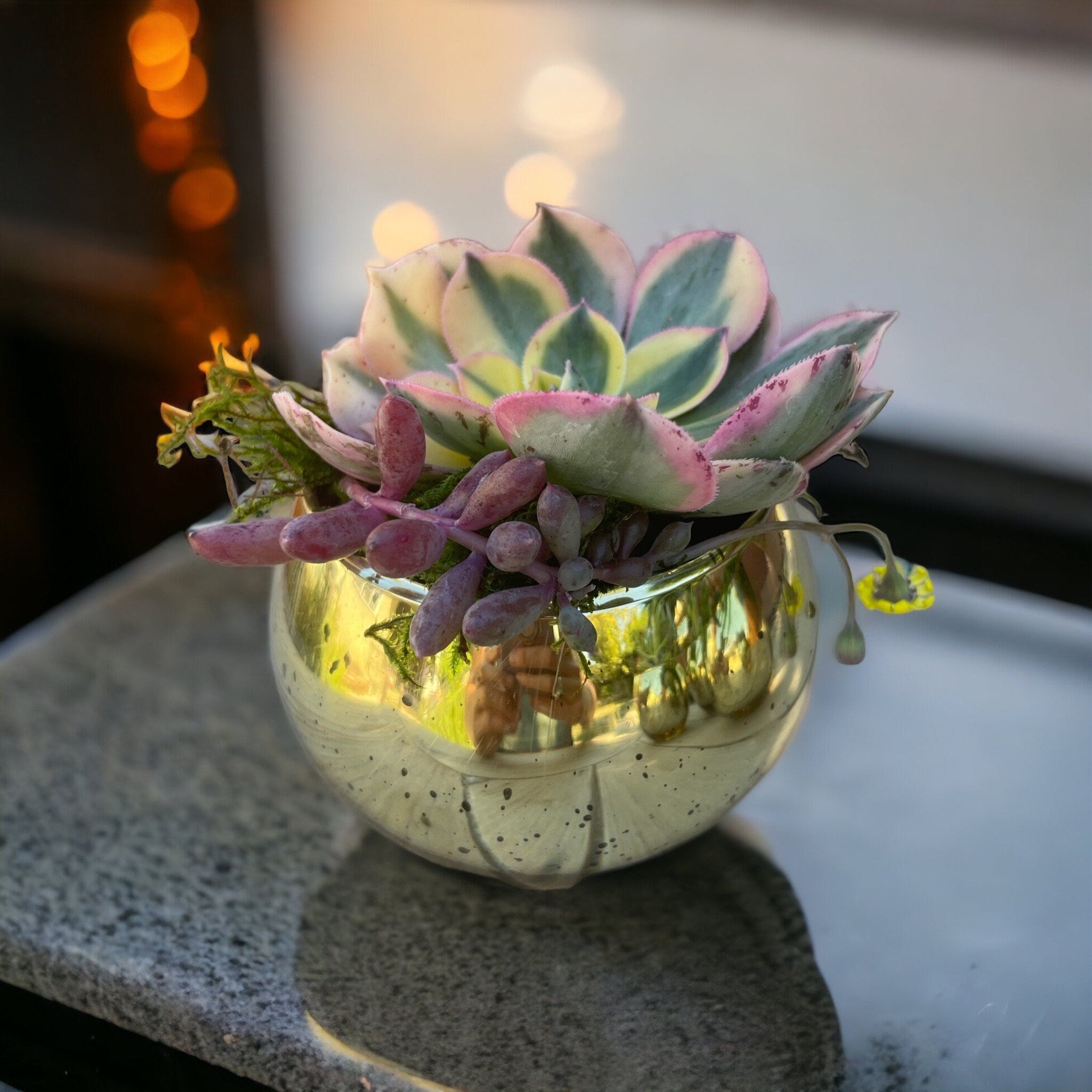 ✨ Mercury Gold Succulent Favors (2 or 4” Pots)