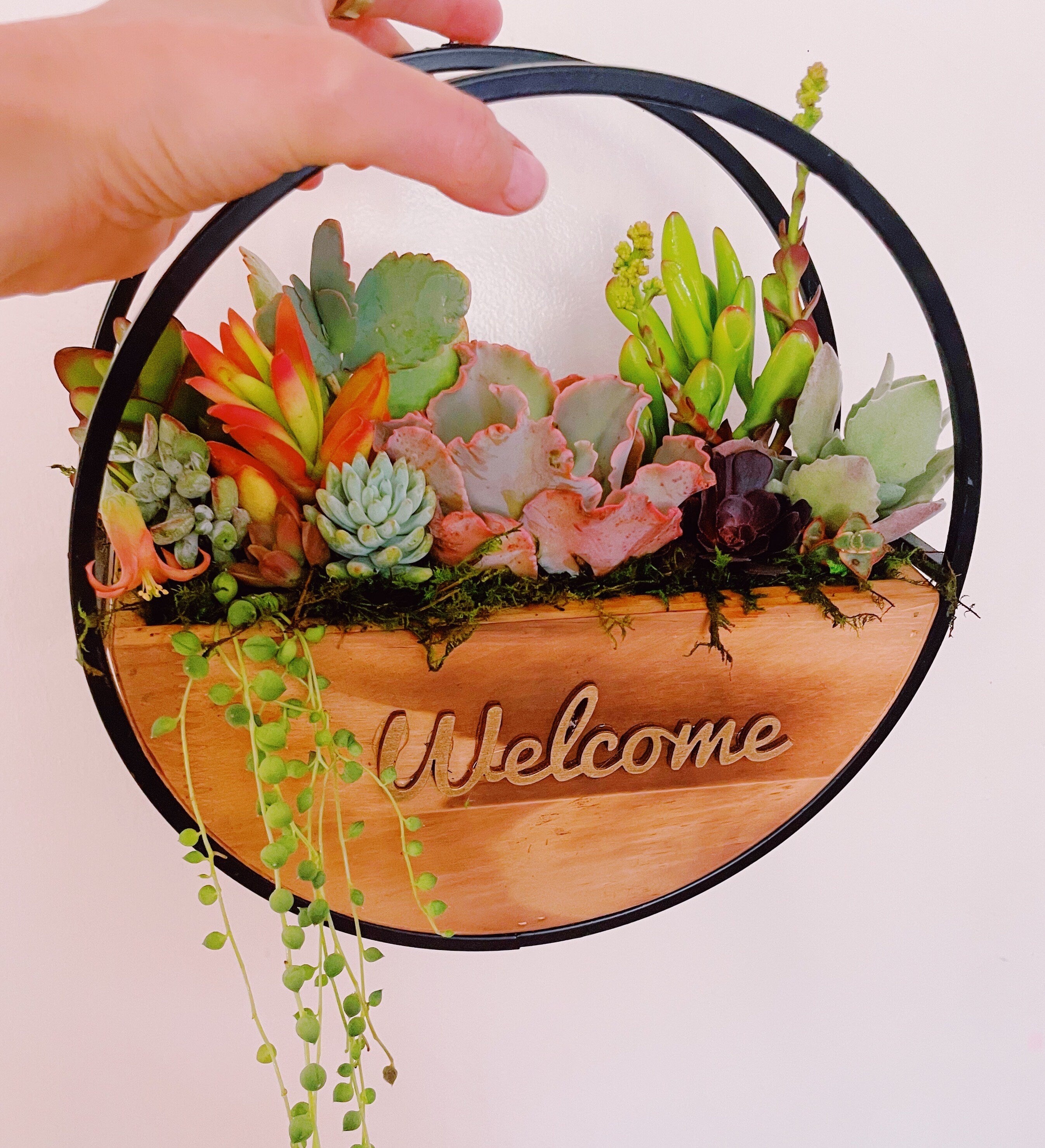 Succulent Wall Planter with Custom Laser Cut Wood Sign – Personalized Living Decor