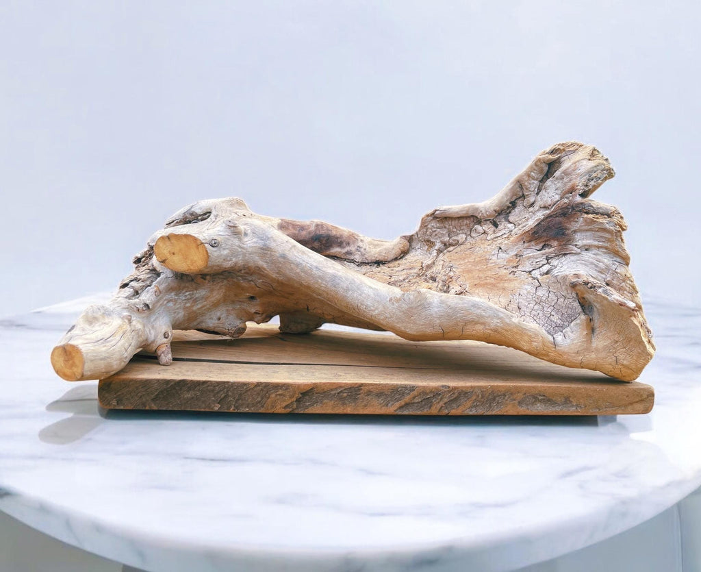 Natural Pacific Coast Driftwood Sculpture – Large Bare Driftwood Centerpiece for Coastal & Organic Modern Decor