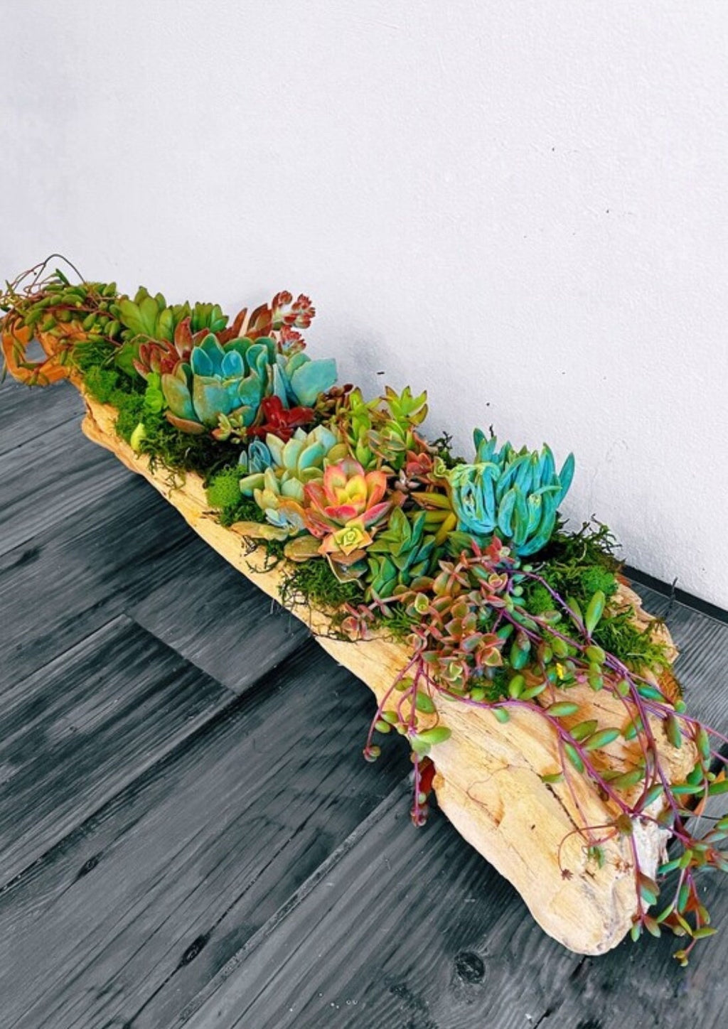 Custom Driftwood Succulent Centerpiece