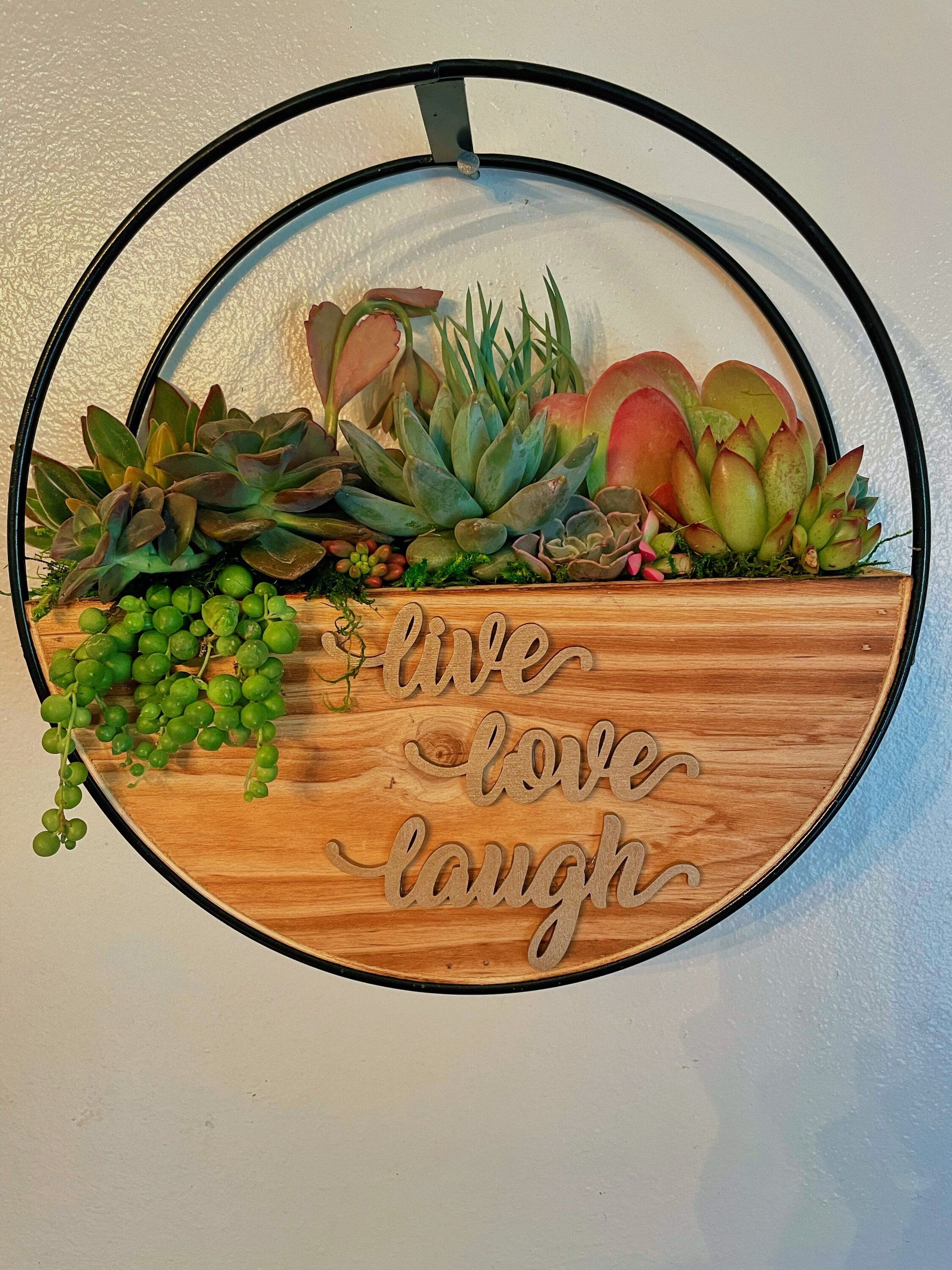 Succulent Wall Planter with Custom Laser Cut Wood Sign – Personalized Living Decor