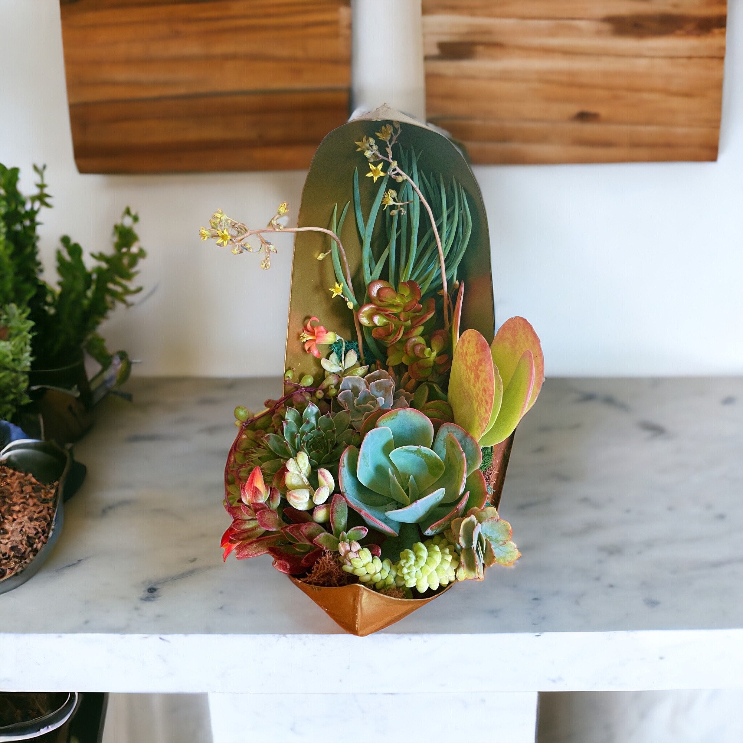 Gold Moon Succulent Planter