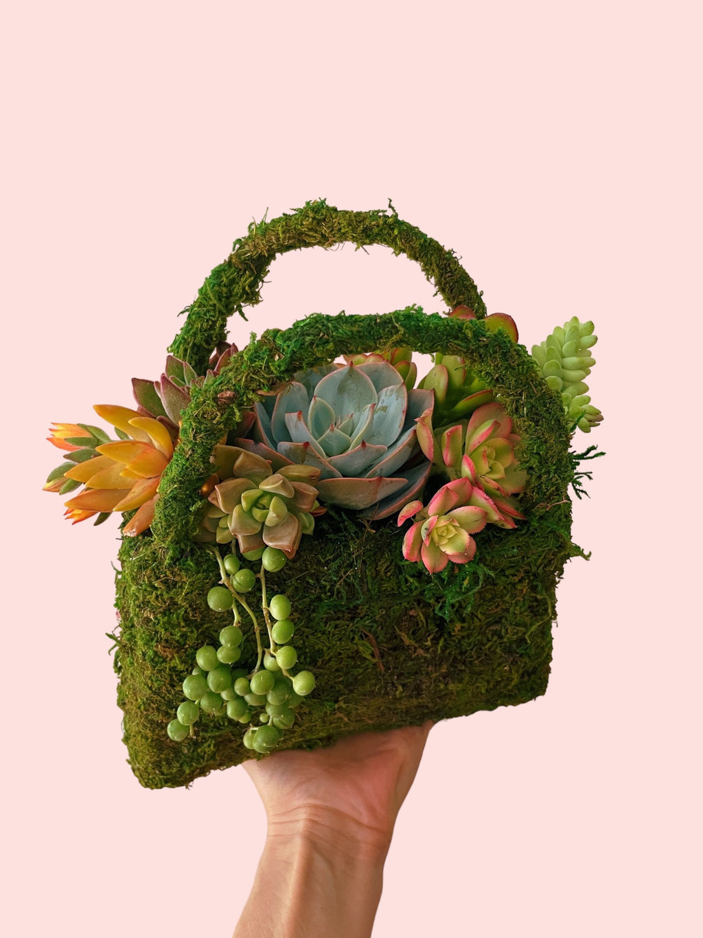 Moss Purse Succulent Planter