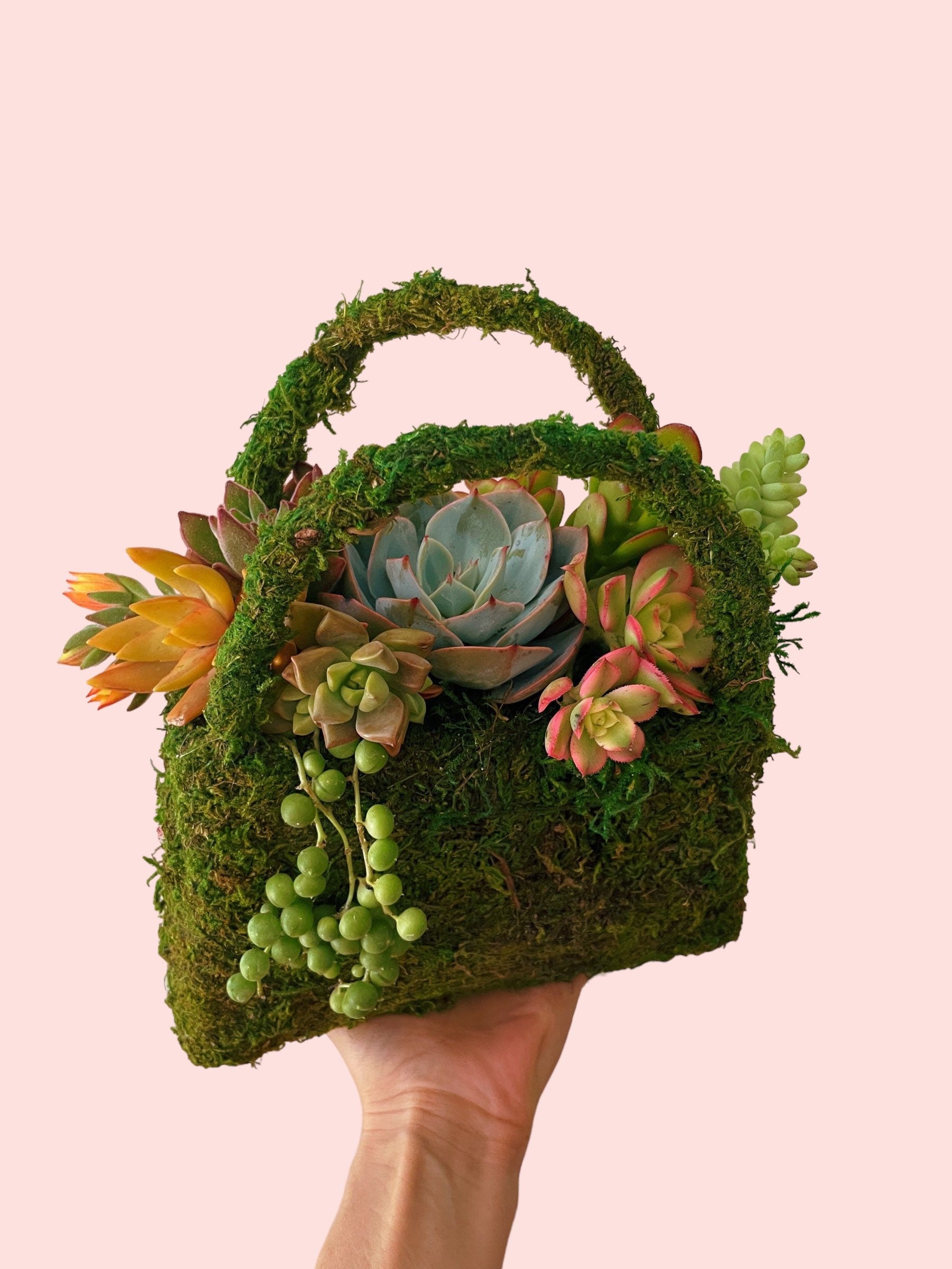 Moss Purse Succulent Planter