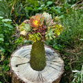 Succulent Mushroom Topiary – Living Moss Sculpture with Live Succulents | Garden Art Decor