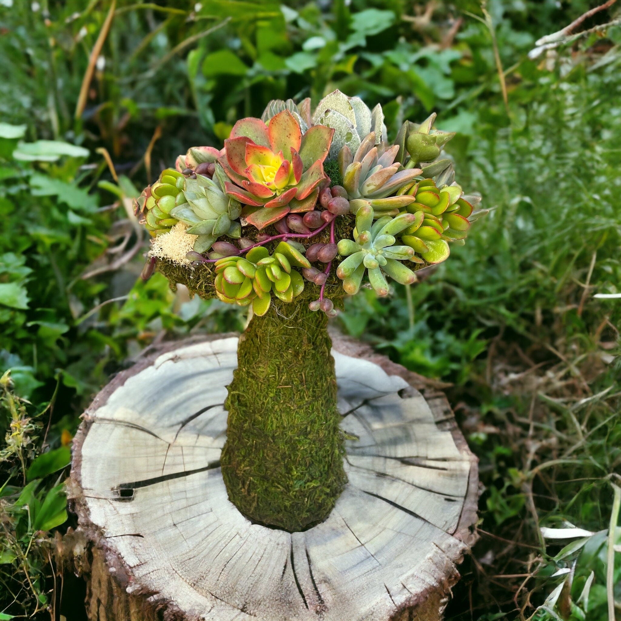Succulent Mushroom Topiary – Living Moss Sculpture with Live Succulents | Garden Art Decor