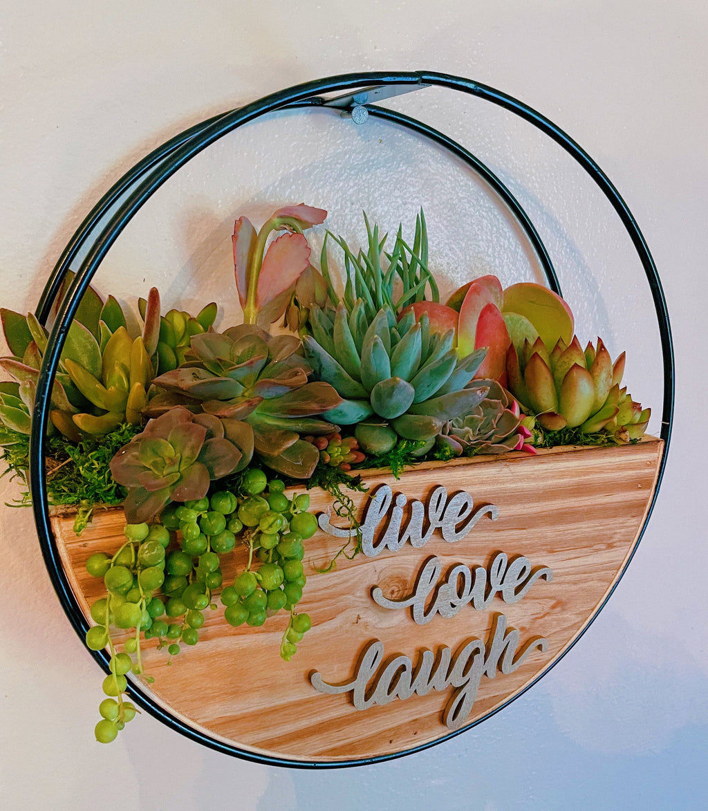 Succulent Wall Planter with Custom Laser Cut Wood Sign – Personalized Living Decor