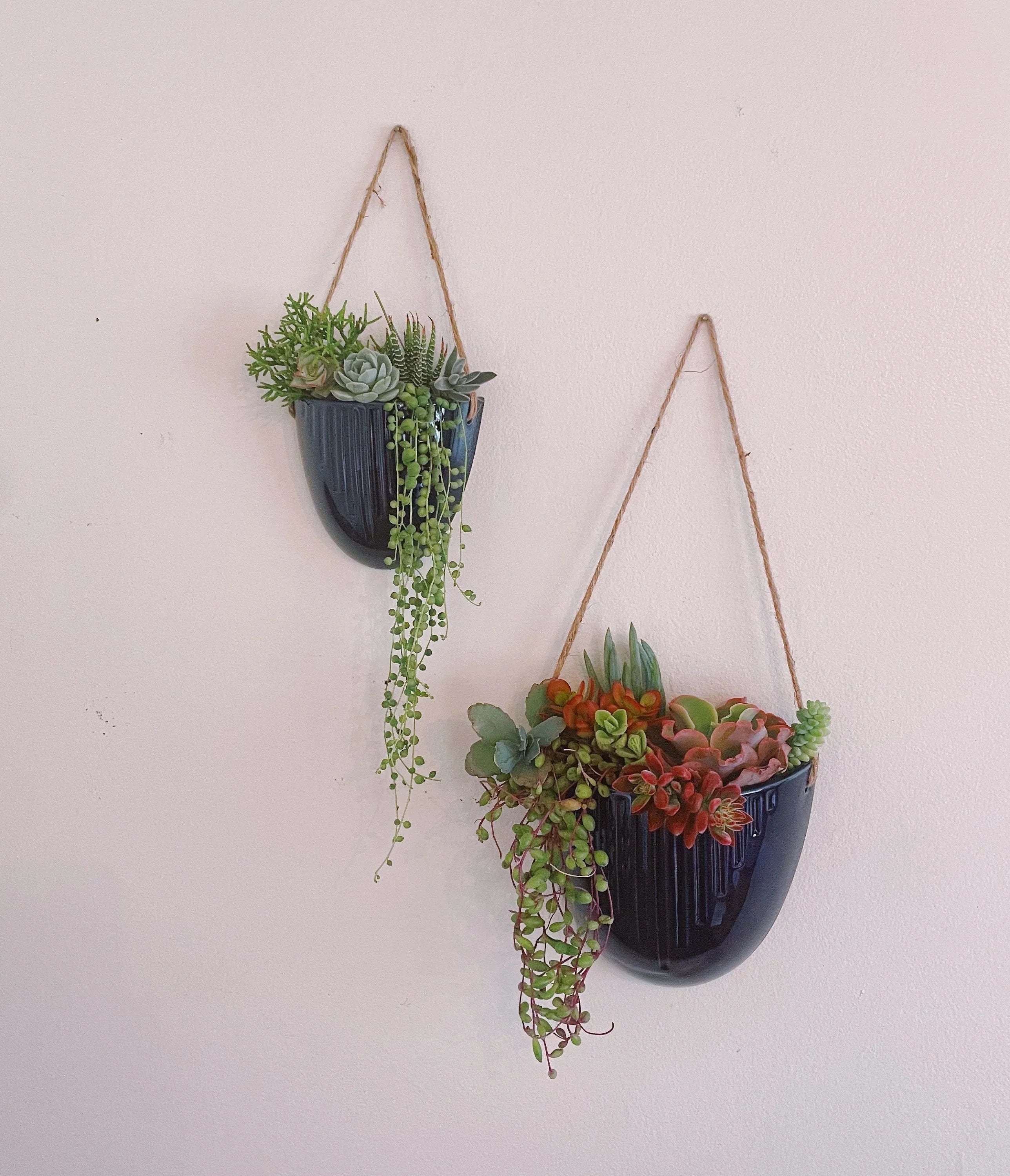 Blue Ceramic Hanging Succulent Planters – Set of 2 or Individual | Trailing Succulents Wall Decor