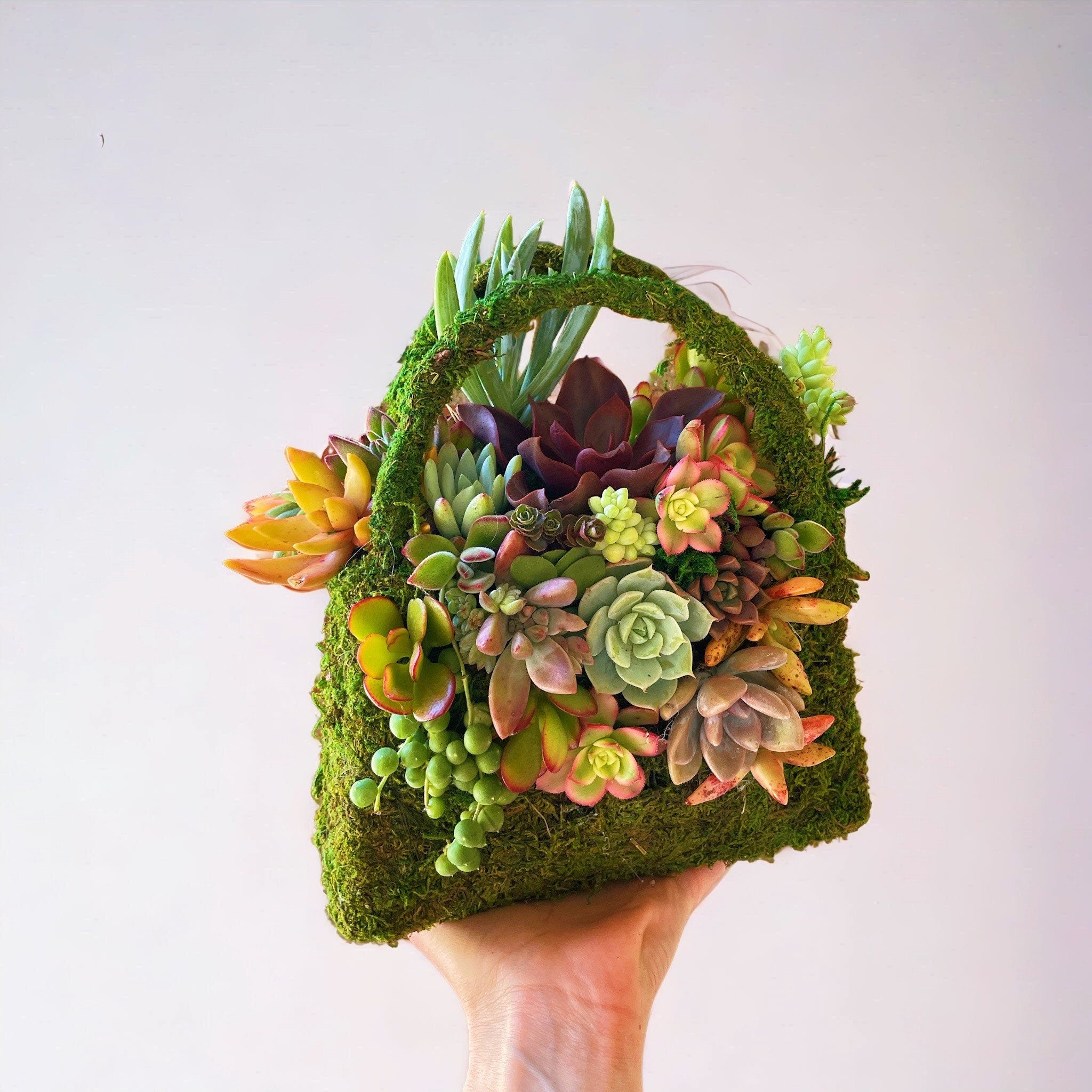 Moss Purse Succulent Planter