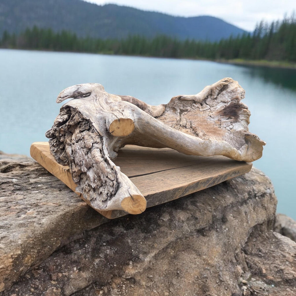 Natural Pacific Coast Driftwood Sculpture – Large Bare Driftwood Centerpiece for Coastal & Organic Modern Decor