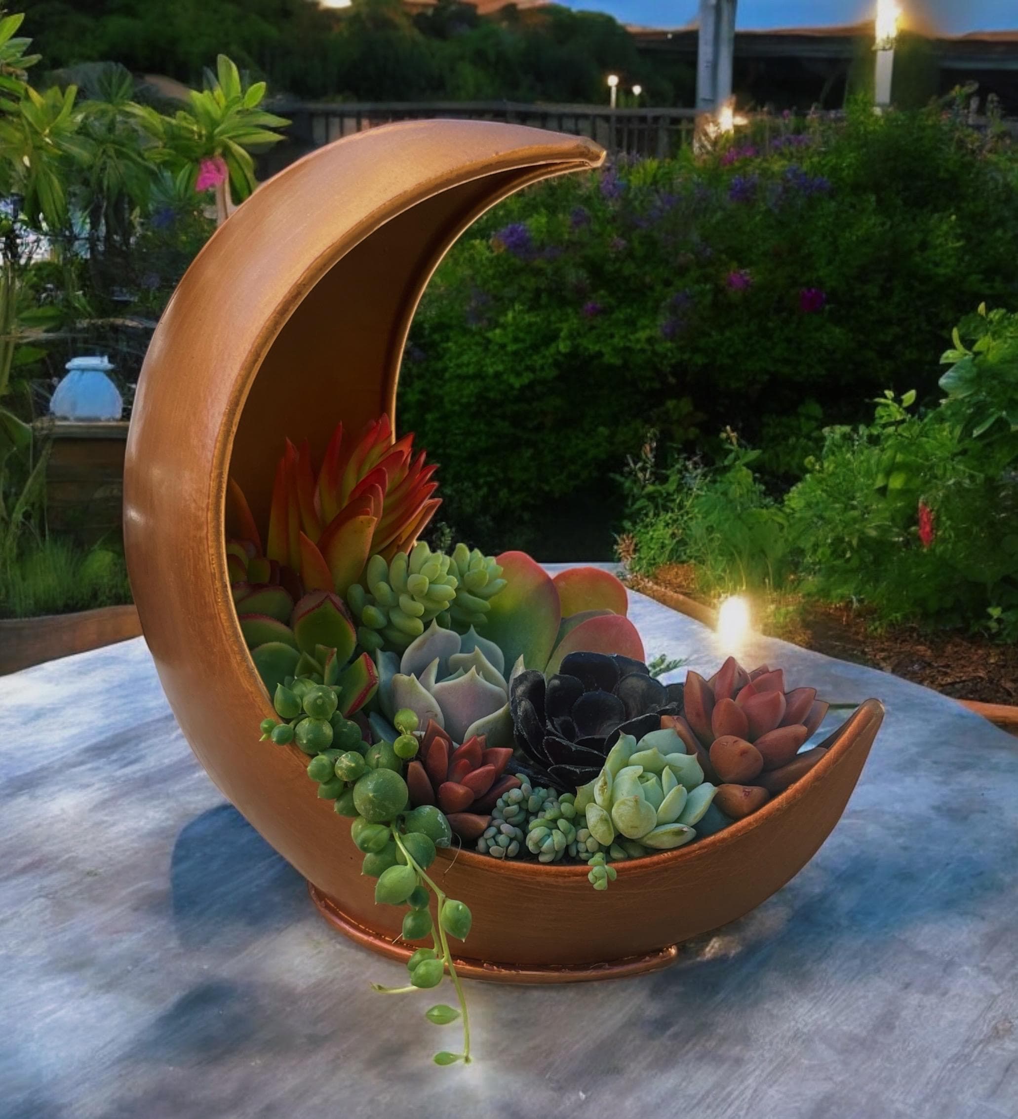 Gold Moon Succulent Planter
