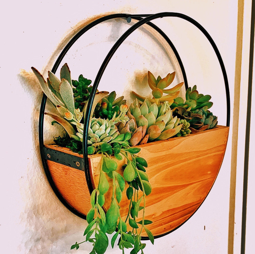 Succulent Wall Planter with Custom Laser Cut Wood Sign – Personalized Living Decor