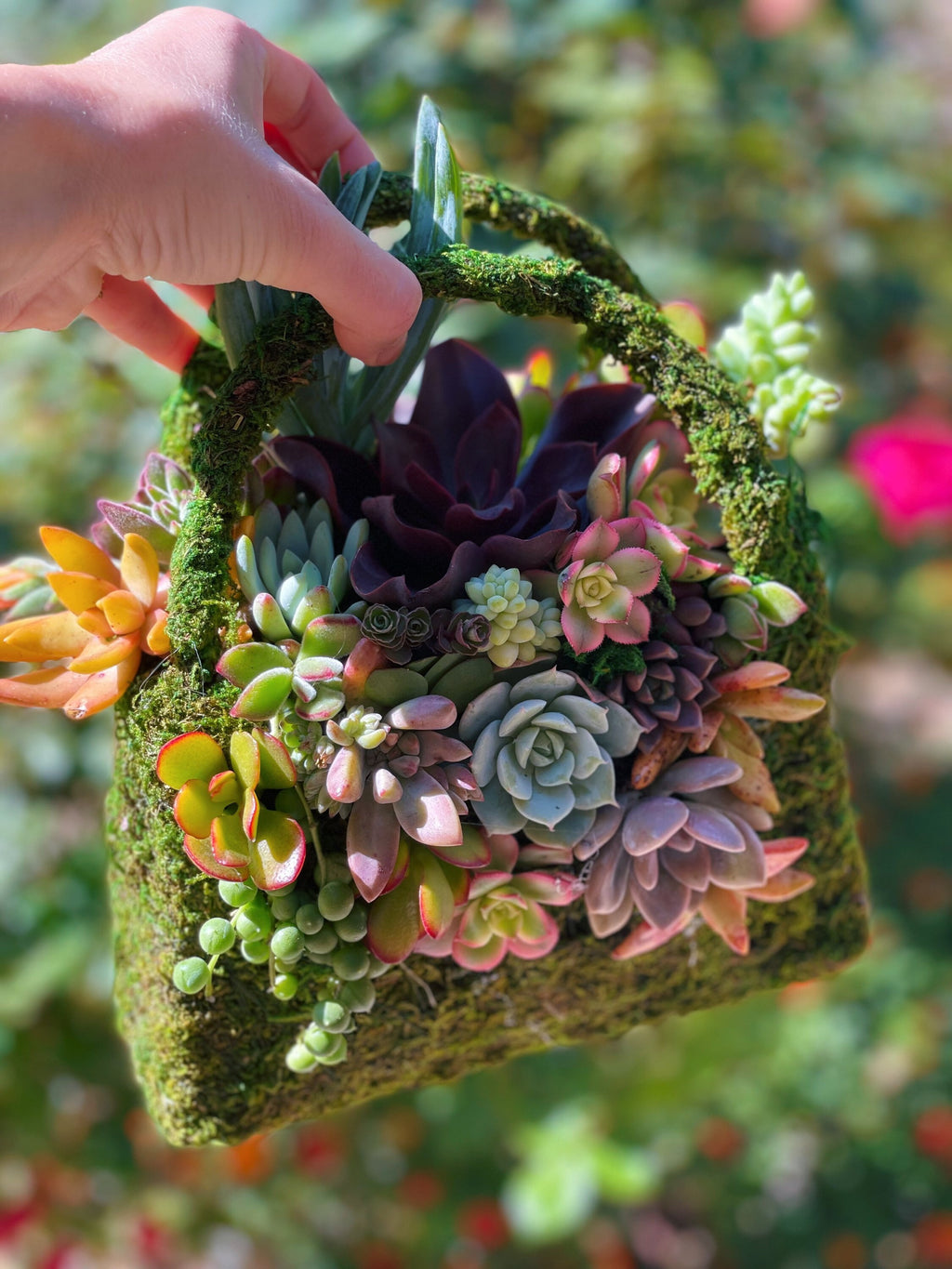 Moss Purse Succulent Planter