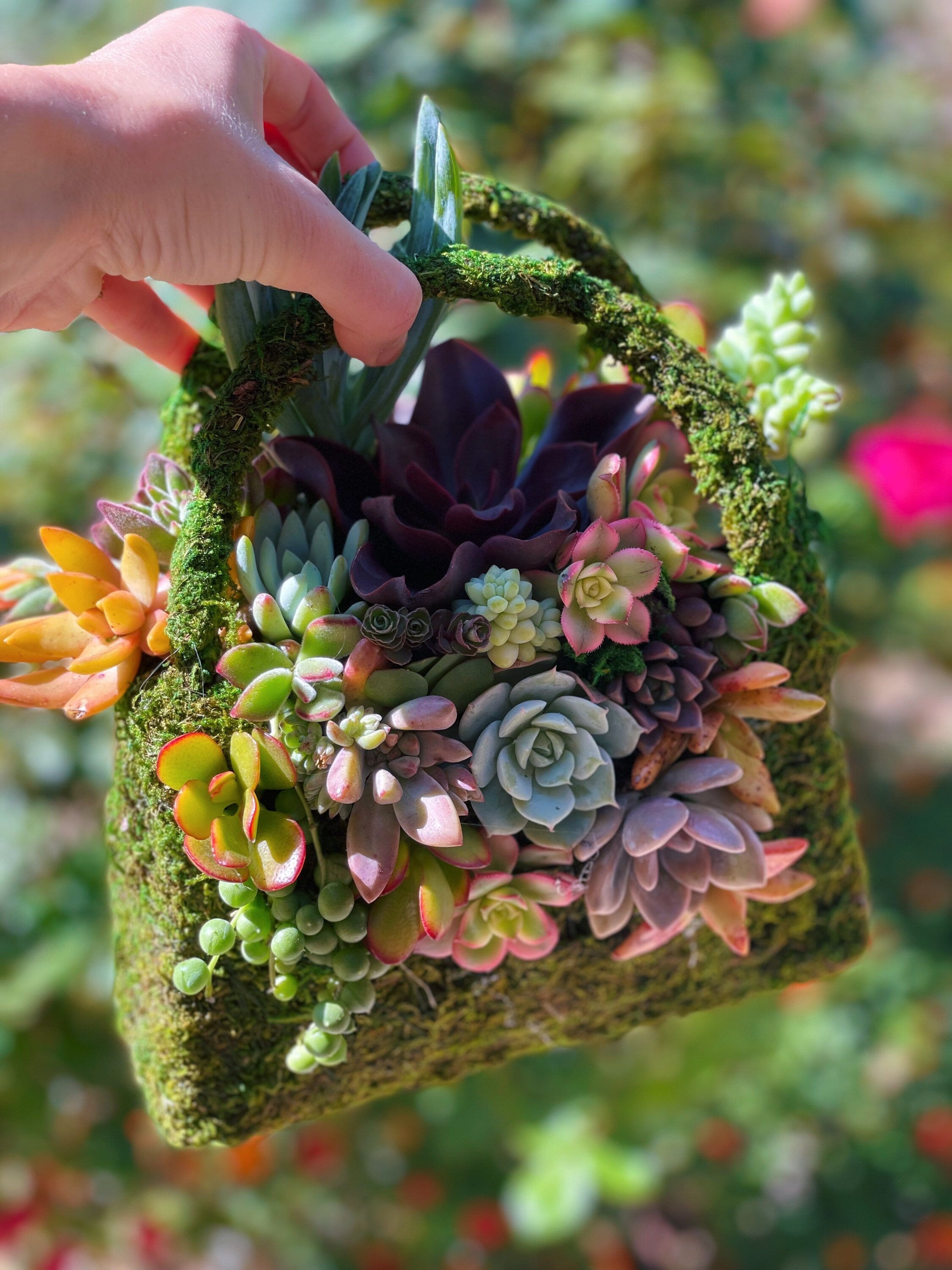 Moss Purse Succulent Planter