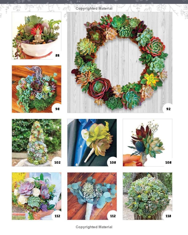 Succulents for Your Home and Garden DIY Book