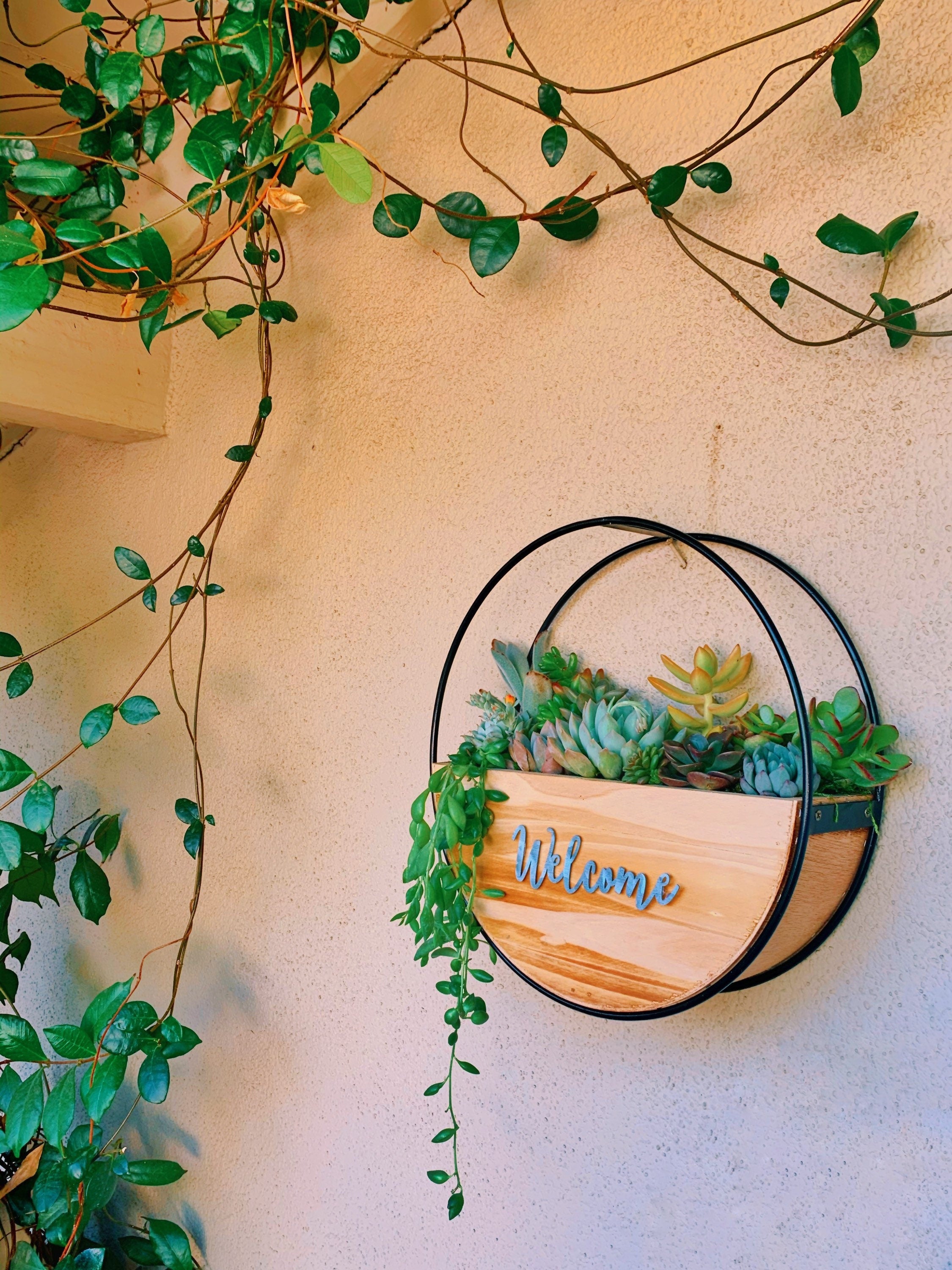 Succulent Wall Planter with Custom Laser Cut Wood Sign – Personalized Living Decor