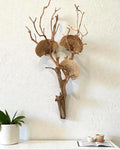 Manzanita Driftwood Wall Hanging with Dried Mushrooms