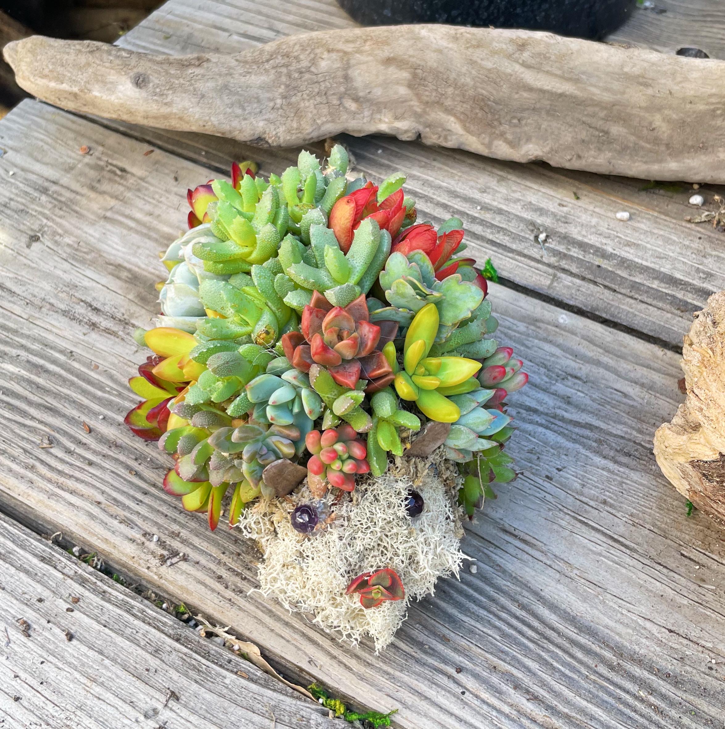 Mini Succulent Hedgehog Planter