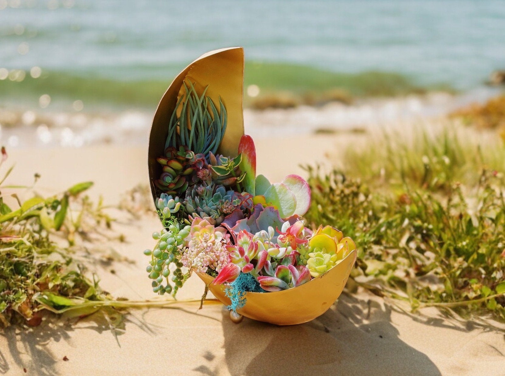 Gold Moon Succulent Planter