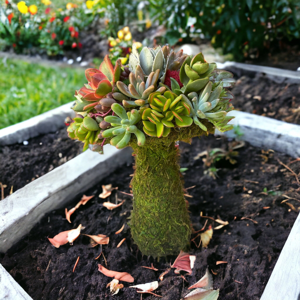 Succulent Mushroom Topiary – Living Moss Sculpture with Live Succulents | Garden Art Decor