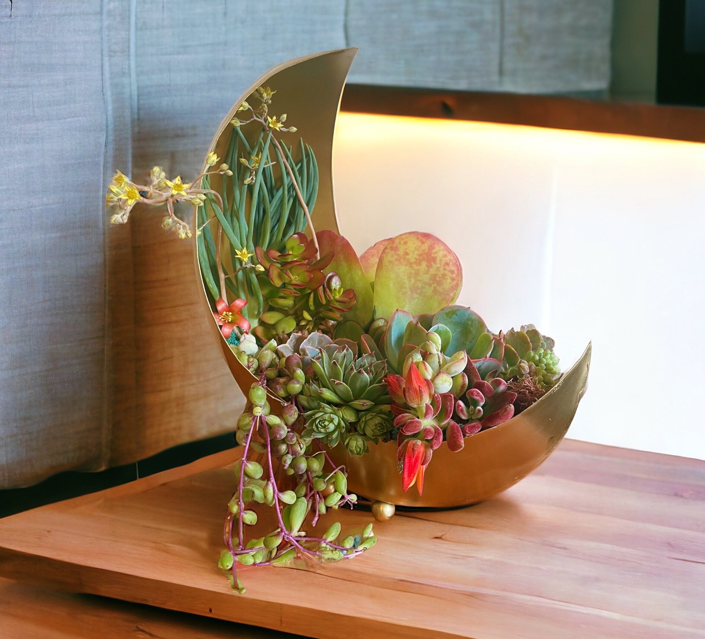 Gold Moon Succulent Planter