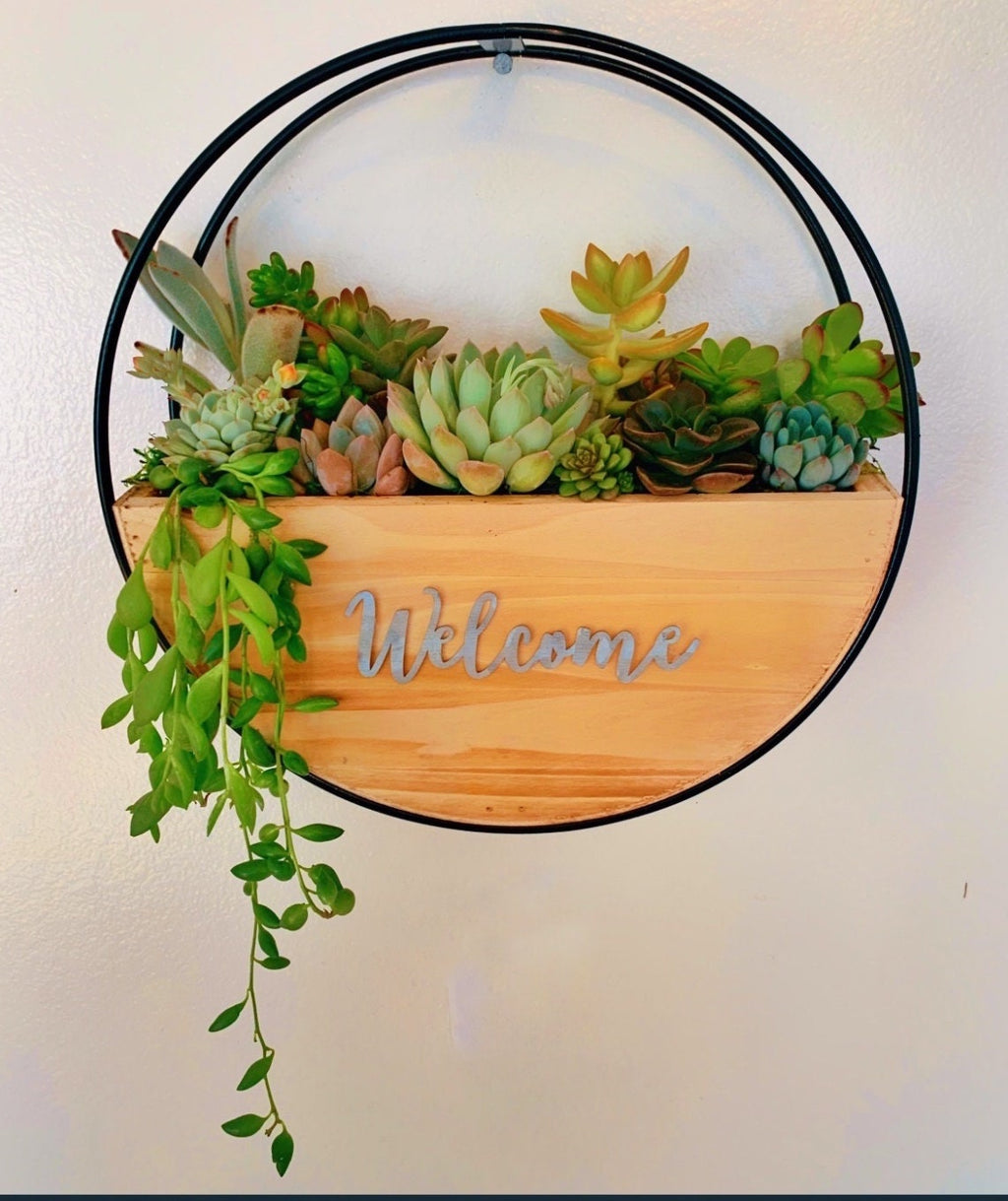 Succulent Wall Planter with Custom Laser Cut Wood Sign – Personalized Living Decor