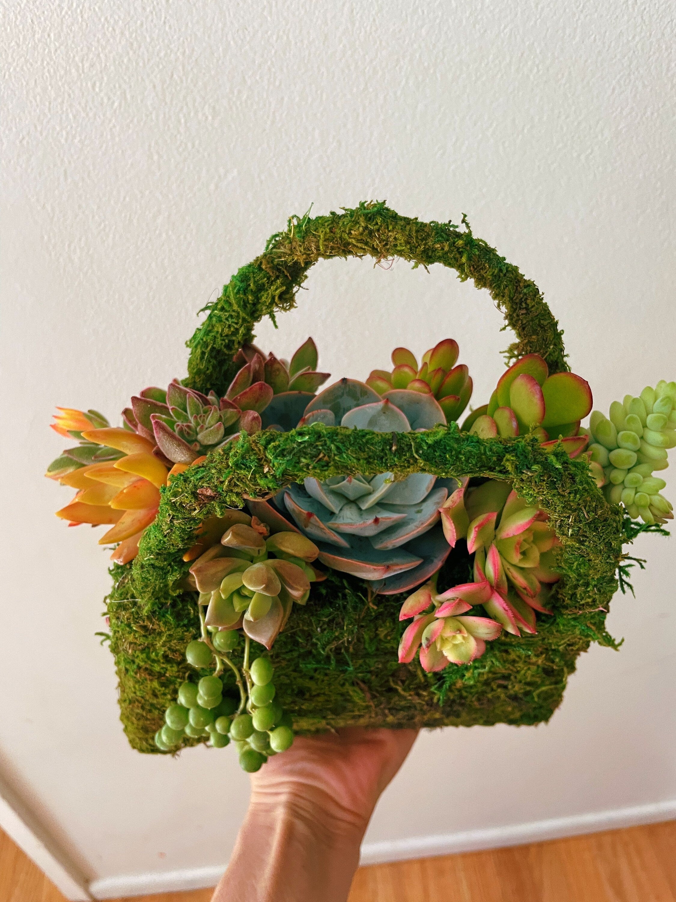 Moss Purse Succulent Planter