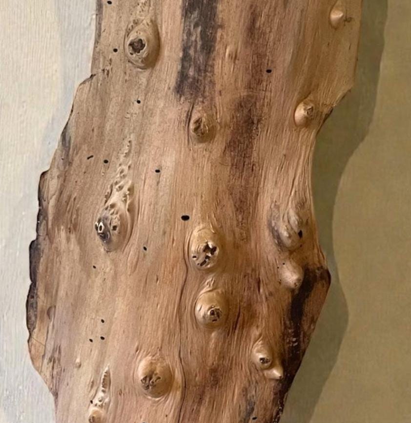 Extra-Large Driftwood Wall Hanging