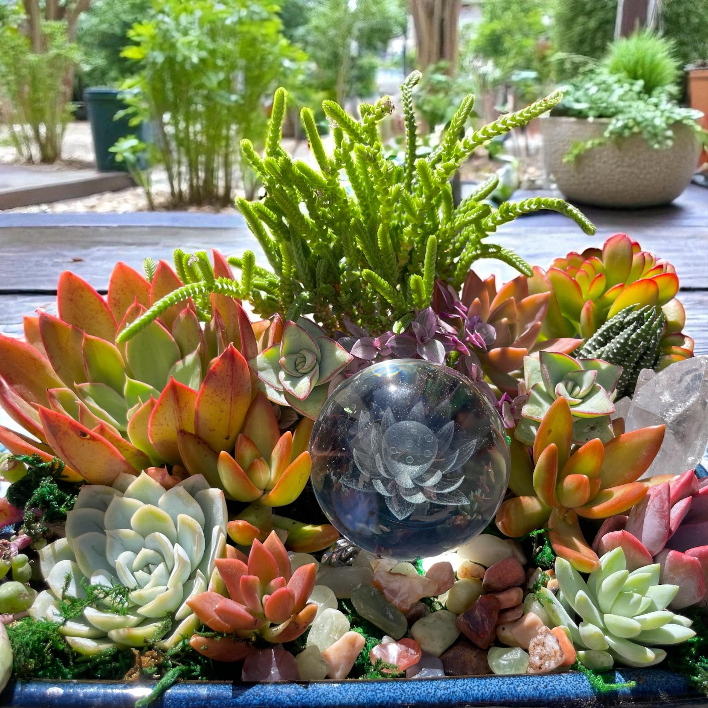 Lotus Crystal Succulent Arrangement