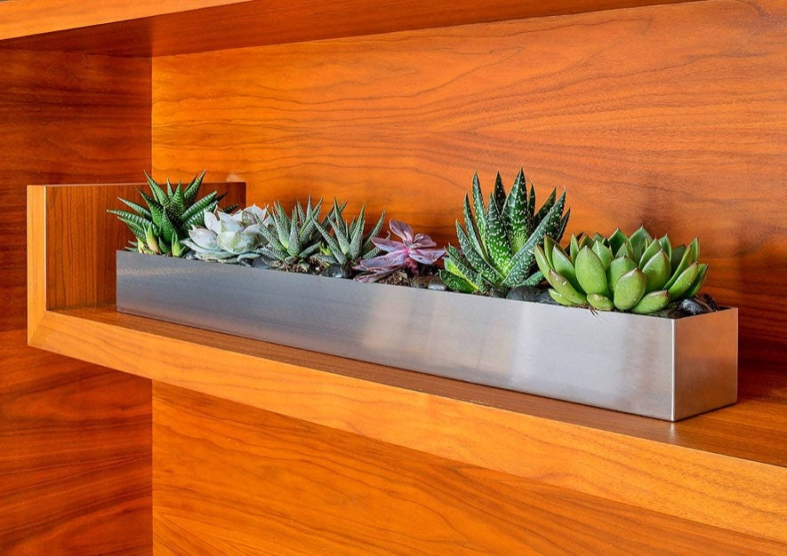 Large Succulent Centerpiece Arrangement