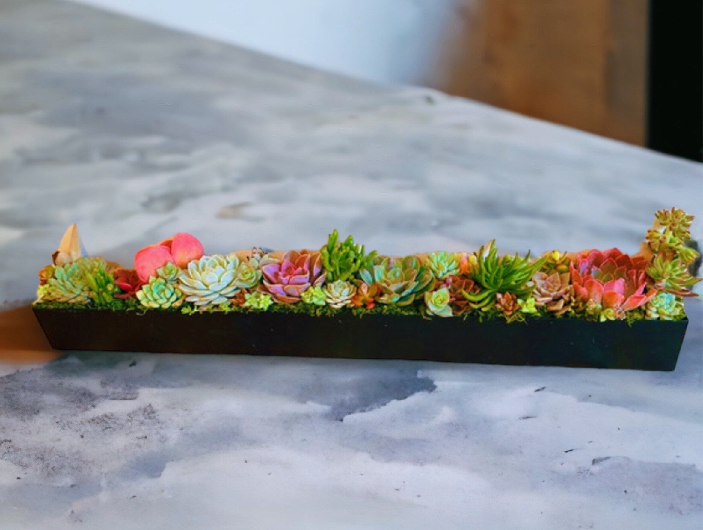 Large Succulent Centerpiece Arrangement