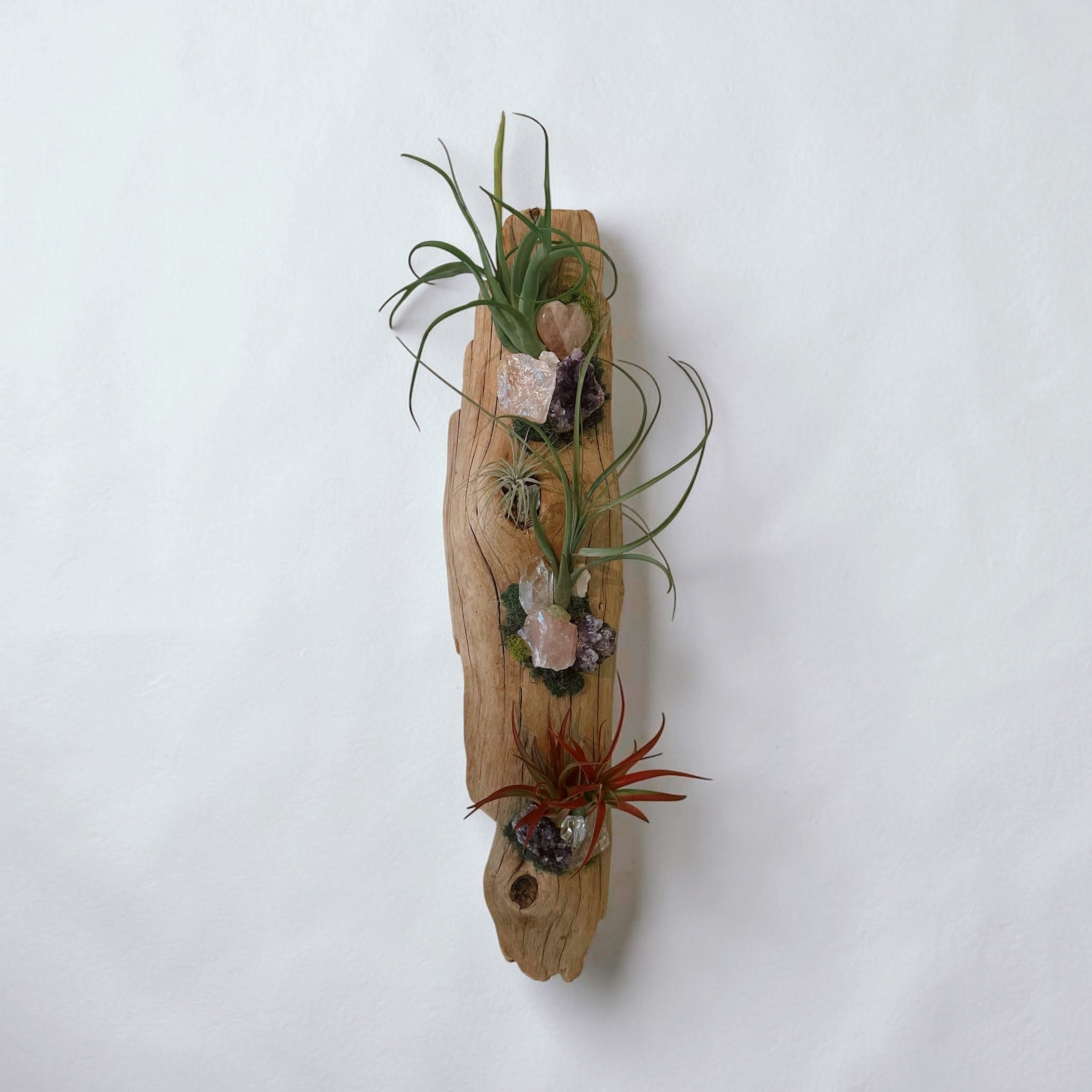 Crystal Driftwood Air Plant Wall Hanging | Amethyst & Quartz Tillandsia Wall Art | Boho Coastal Decor