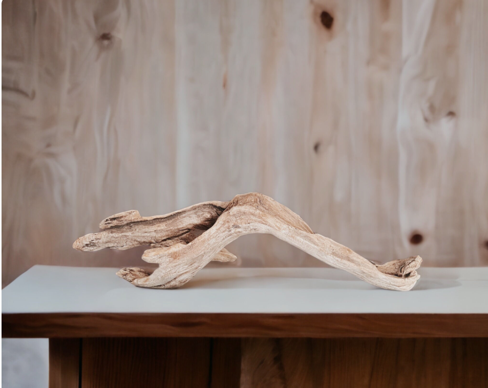Natural Pacific Coast Driftwood Sculpture – Large Bare Driftwood Centerpiece for Coastal & Organic Modern Decor