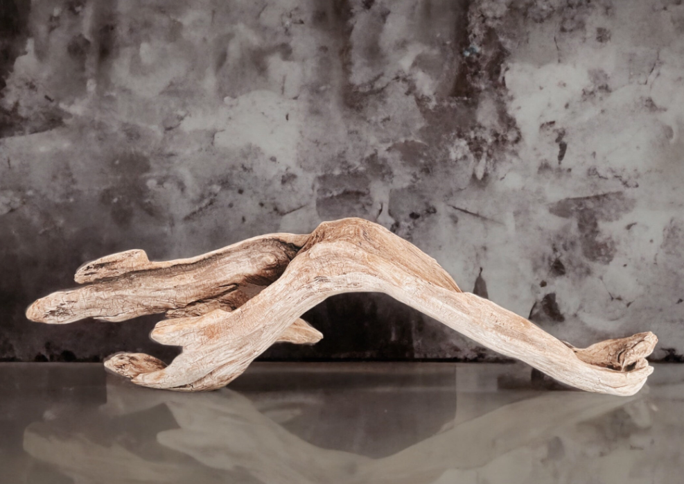 Natural Pacific Coast Driftwood Sculpture – Large Bare Driftwood Centerpiece for Coastal & Organic Modern Decor